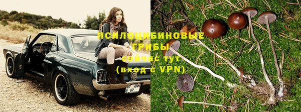дурь Богданович