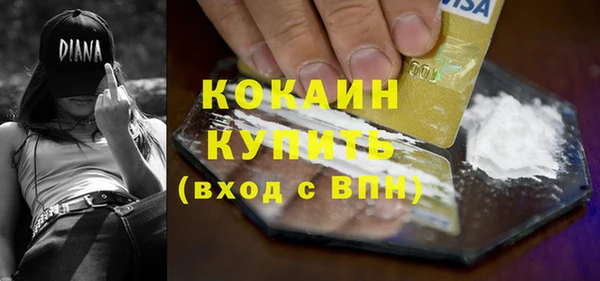 амф Бородино