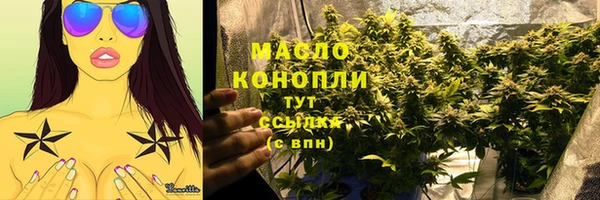 индика Заволжье
