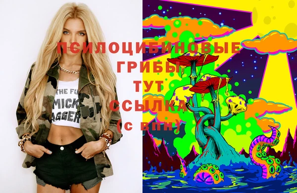 дурь Богданович