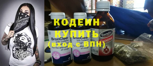 крисы Бронницы