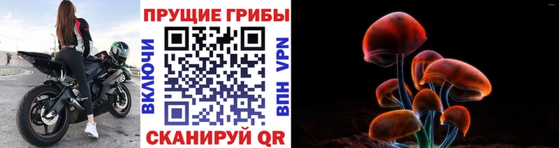 площадка Telegram  Дальнегорск  Галлюциногенные грибы Psilocybe 